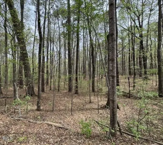 0 Lot 336 Forest Hills Drive, Littleton, NC 27850 - #1