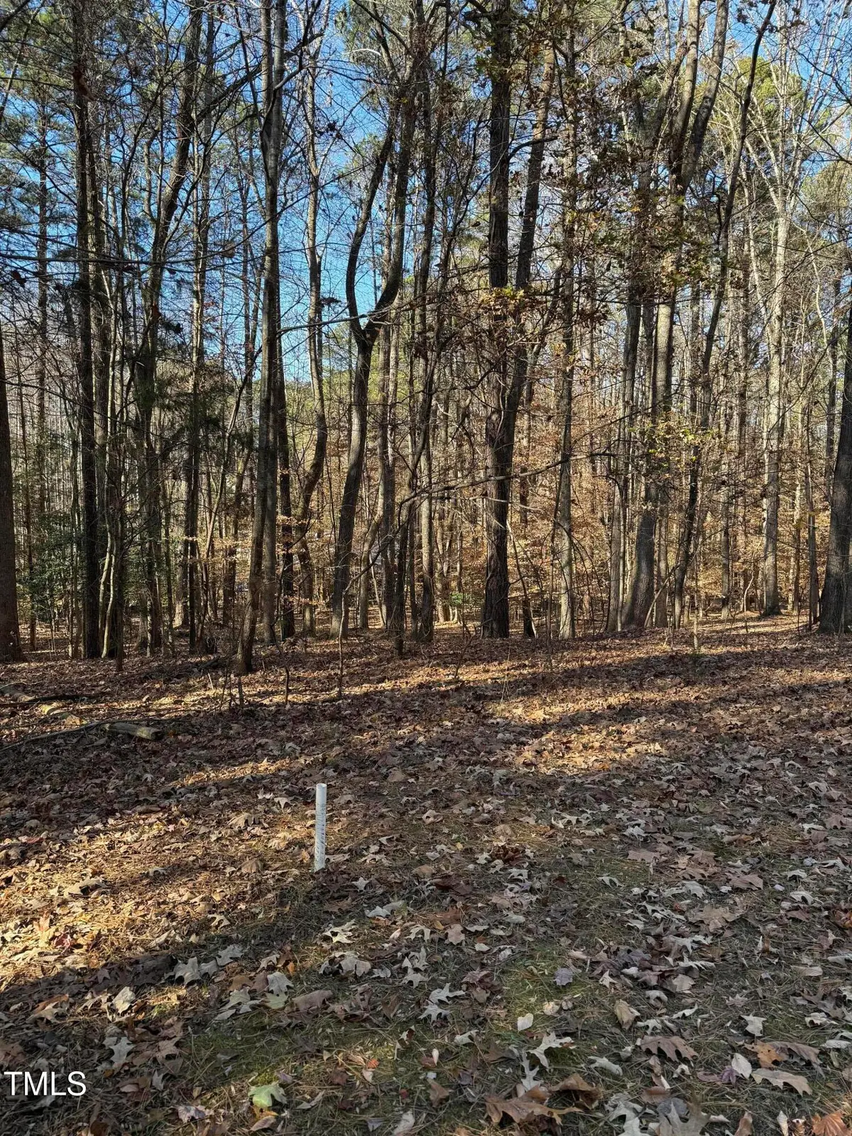 0 Laurel Court, Littleton, NC 27850 - #1