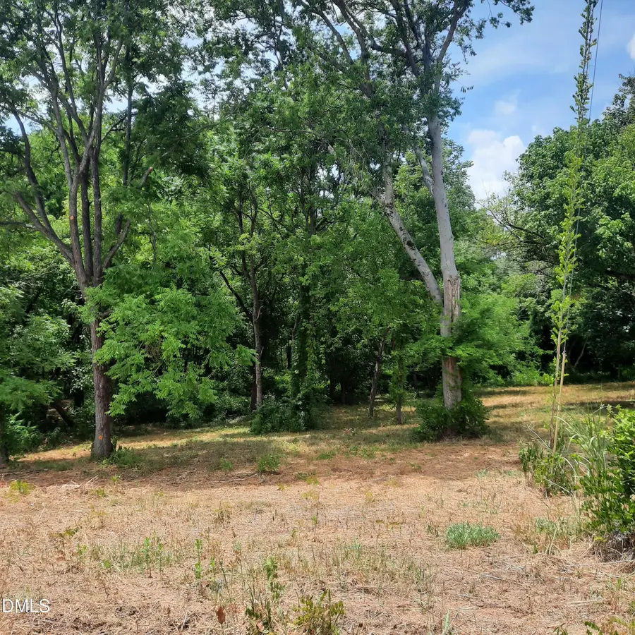 324 Allison Street, Hillsborough, NC 27278 - #3