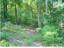 56706 Nash, Chapel Hill, NC 27517 - #3