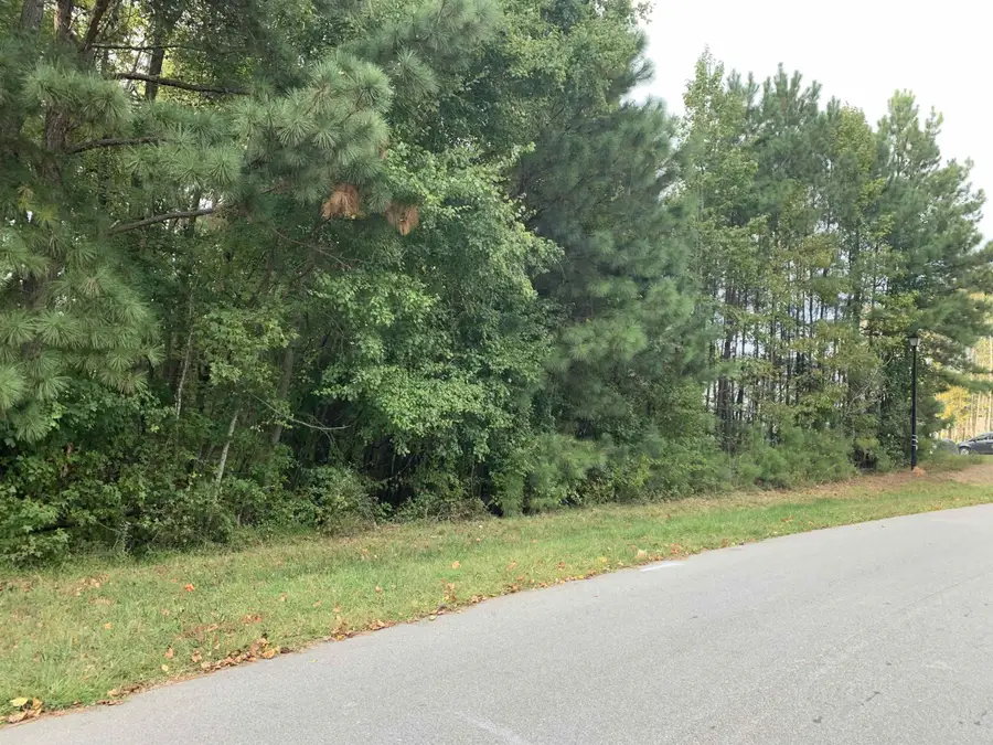 4553 Ashley View Lane, Oxford, NC 27565 - #2