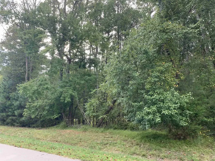 4551 Ashley View Lane, Oxford, NC 27565 - #2