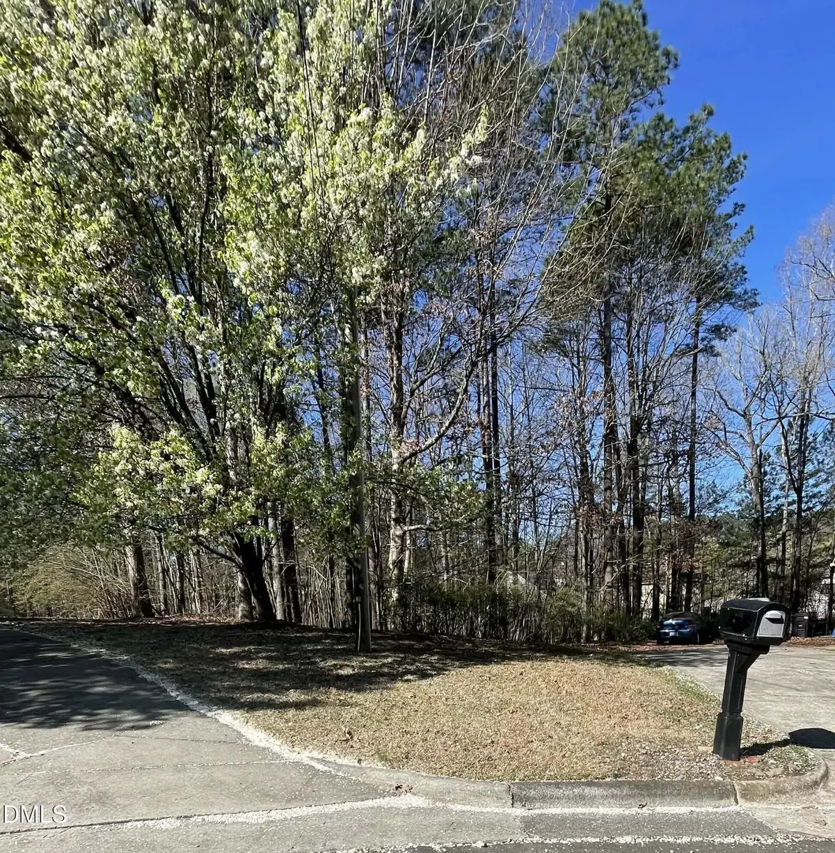 4824 Bay Point Drive, Durham, NC 27713 - #1