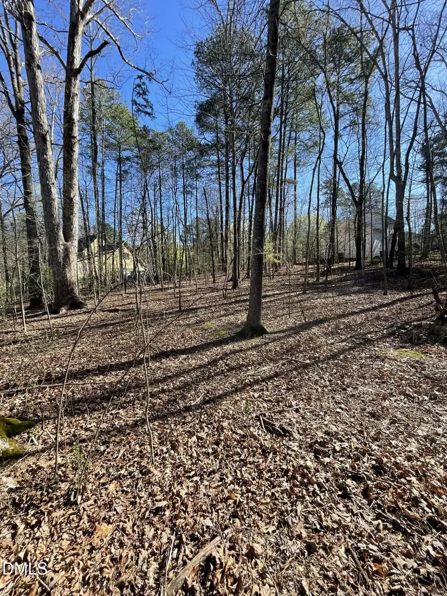 4824 Bay Point Drive, Durham, NC 27713 - #2