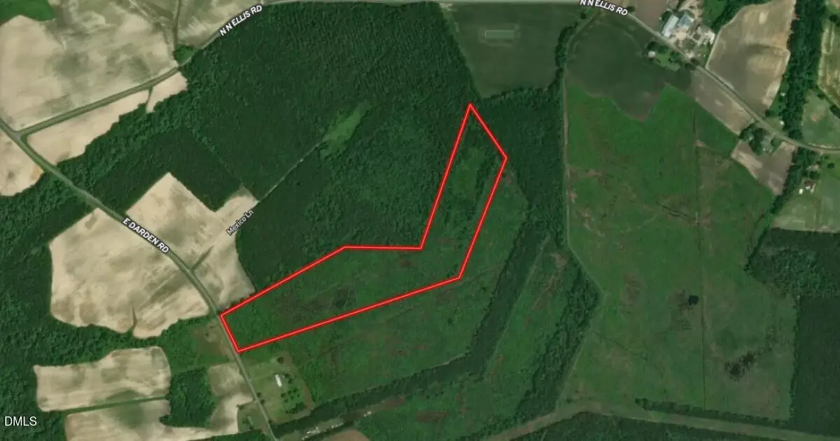 0 E Darden Road, Faison, NC 28341 - #1