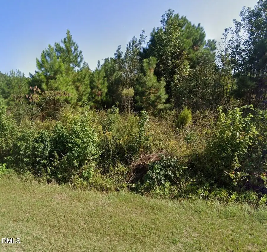 0 E Darden Road, Faison, NC 28341 - #3