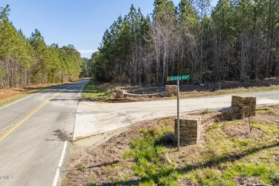 182 Chetango Mountain Road, Chapel Hill, NC 27516 - #2