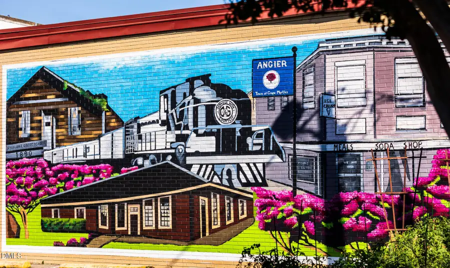 43 Ara Court #209, Angier, NC 27501 - #2