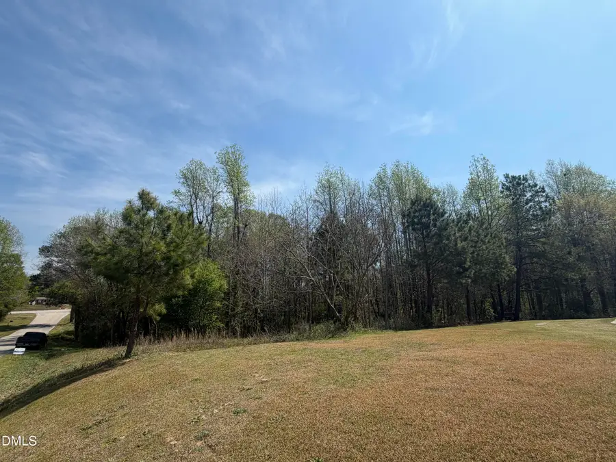 73 Hall Road, Erwin, NC 28339 - #2