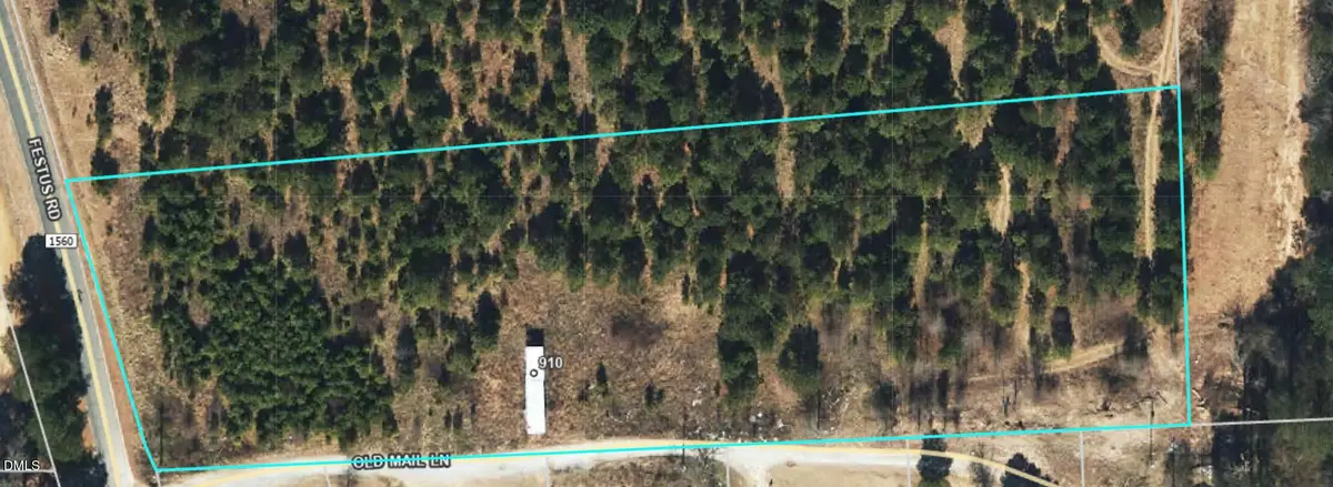 910 Festus Road, Coats, NC 27521 - #1