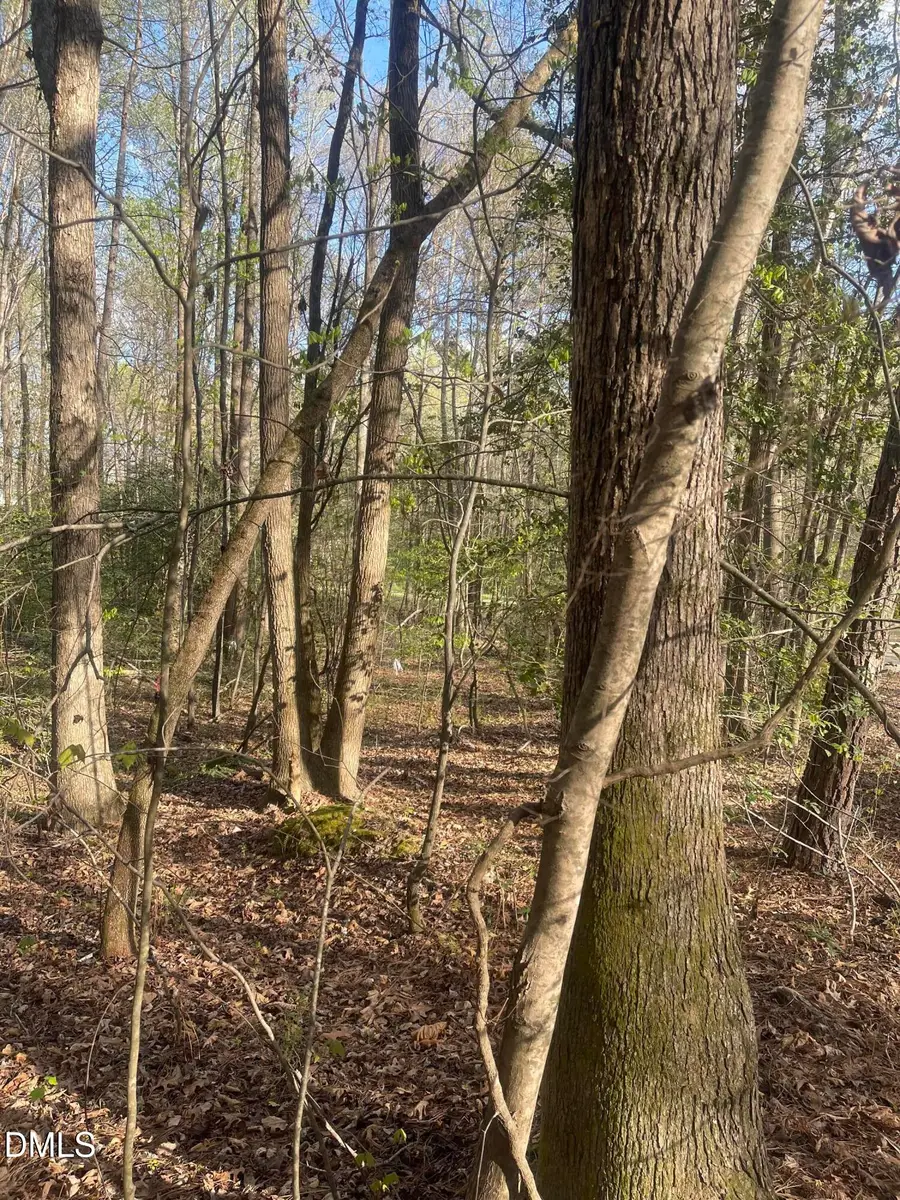 0 Ed Lane, Carthage, NC 28327 - #2