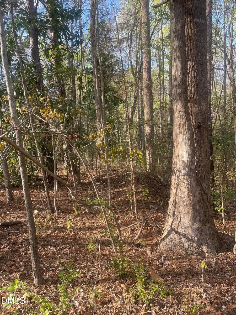 0 Ed Lane, Carthage, NC 28327 - #3