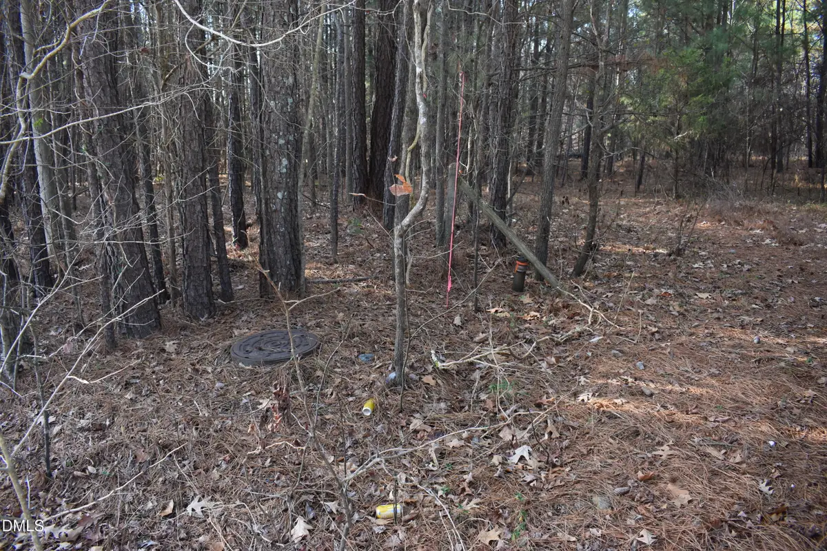 806 Carpenter Fletcher Road, Durham, NC 27713 - #1