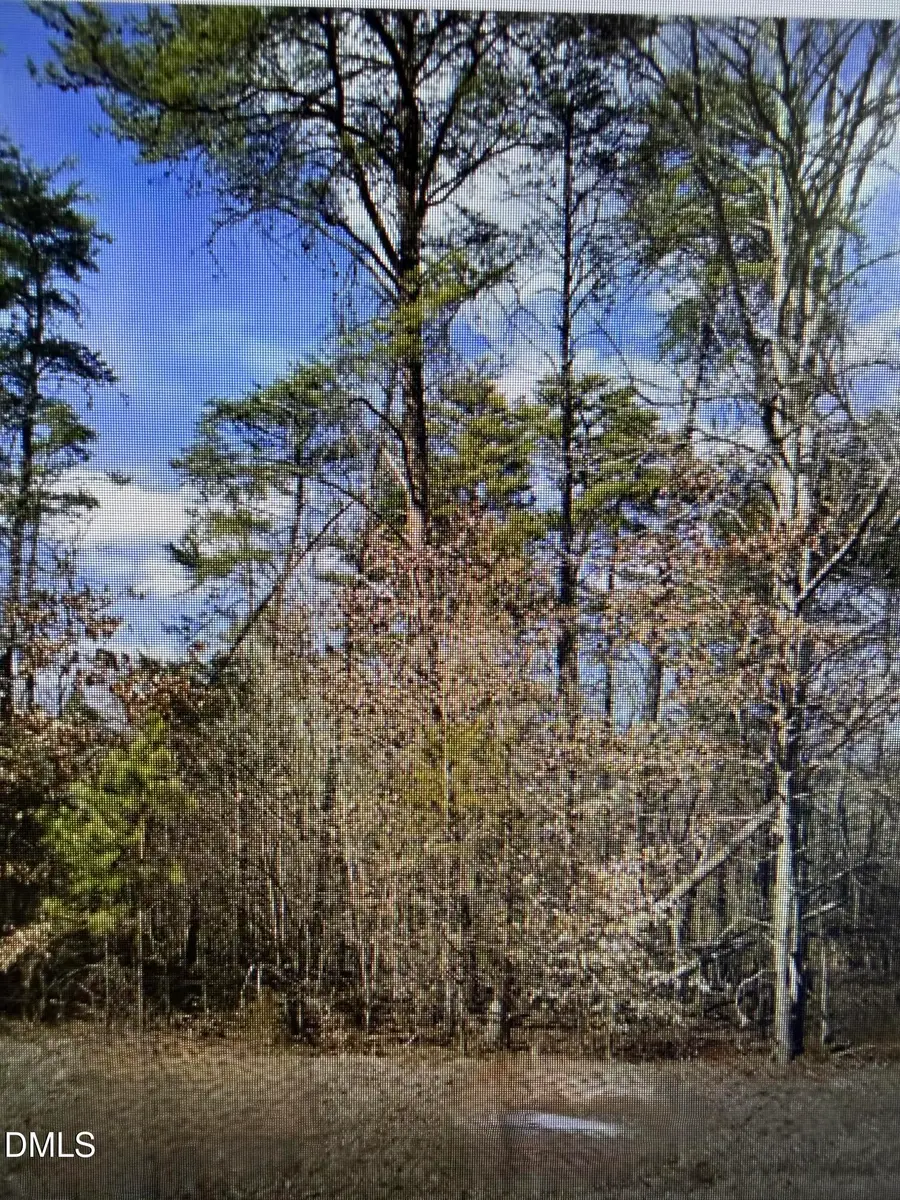 Lot 11 Lynn Smith Road, Semora, NC 27343 - #3