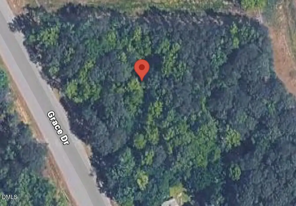 0 Grace Drive, Weldon, NC 27890 - #1