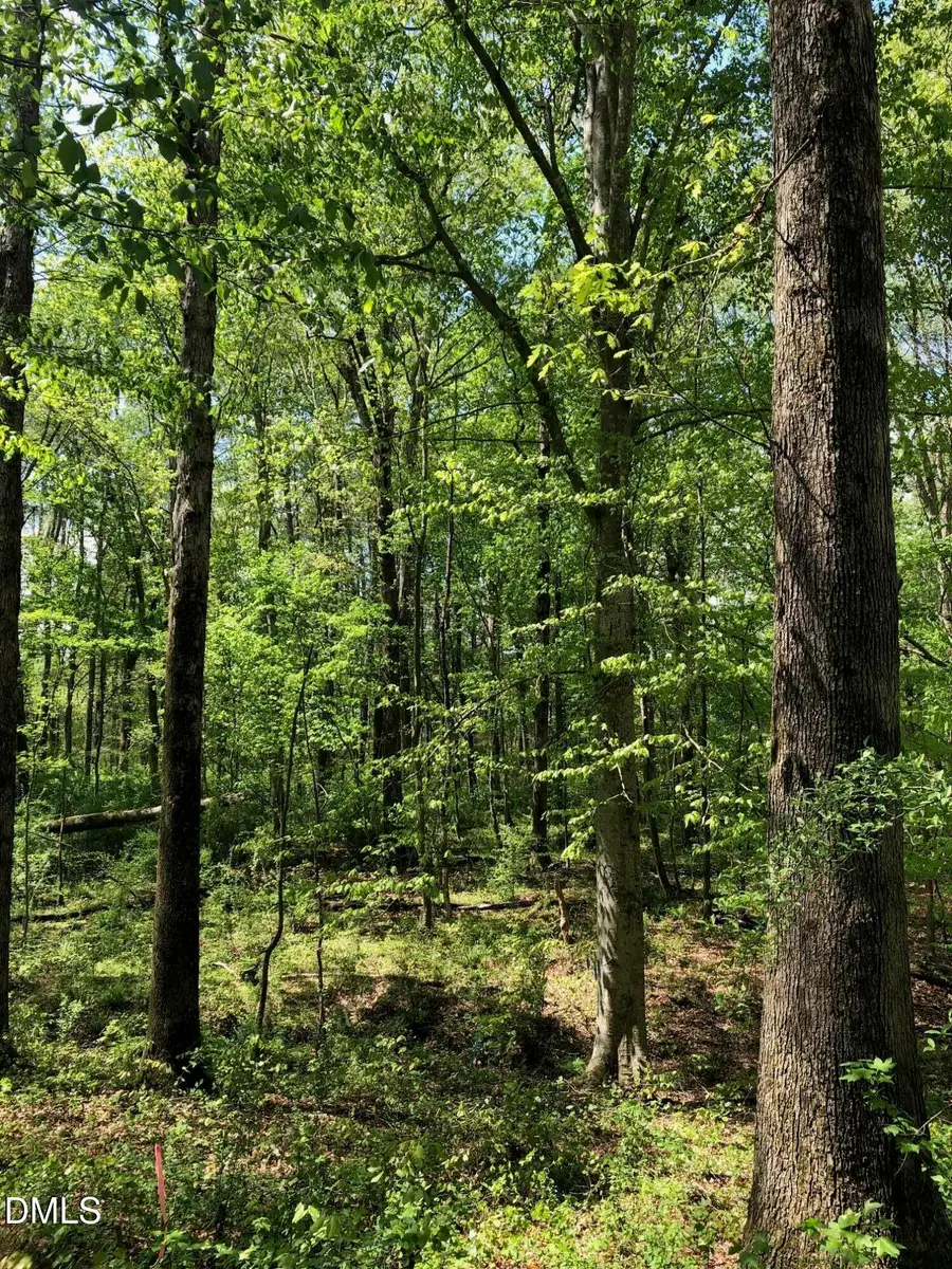 910 Nc-902, Pittsboro, NC 27312 - #2