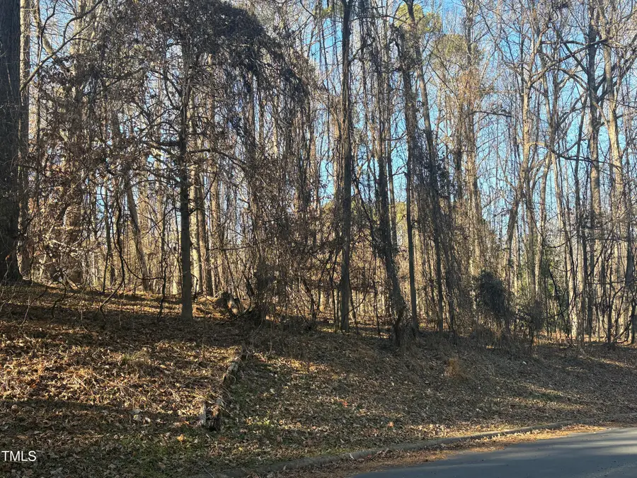 01 Washington Street, Clayton, NC 27520 - #3