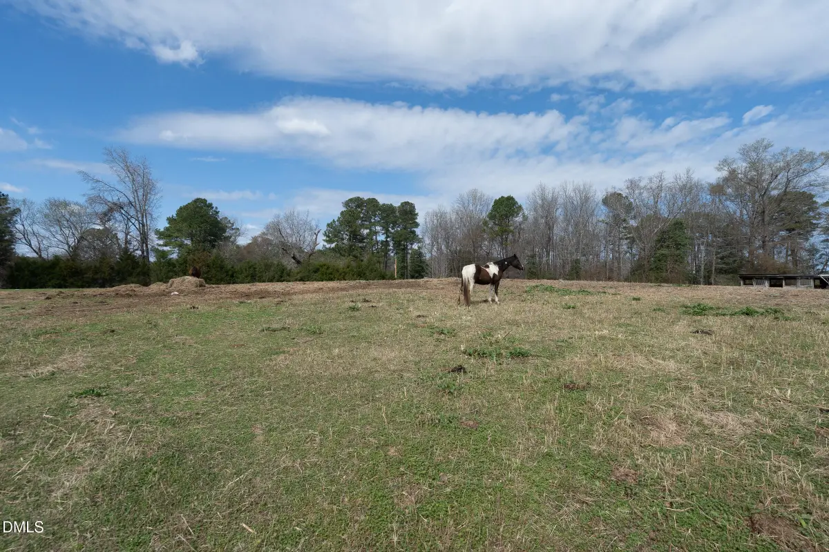 5220 Pulley Town Road, Zebulon, NC 27597 - #1