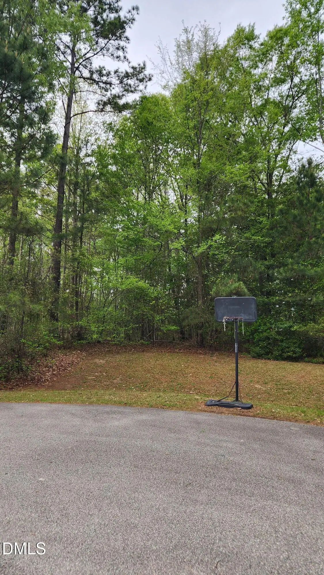 126 W Silver Belle Drive, Zebulon, NC 27597 - #1