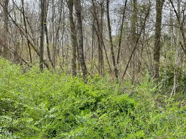 Tbd Old Walker Mill Road, Randleman, NC 27317 - #3