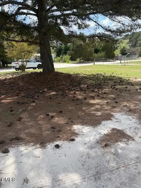 180 Dusty Drive, Candor, NC 27229 - #2