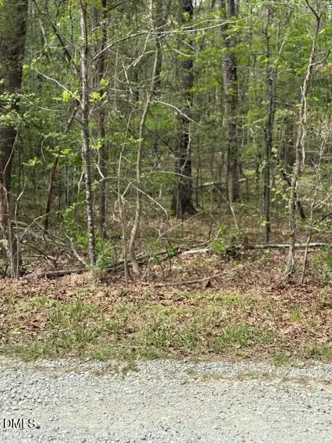 6416 Coltsfoot Drive, Rougemont, NC 27572 - #3