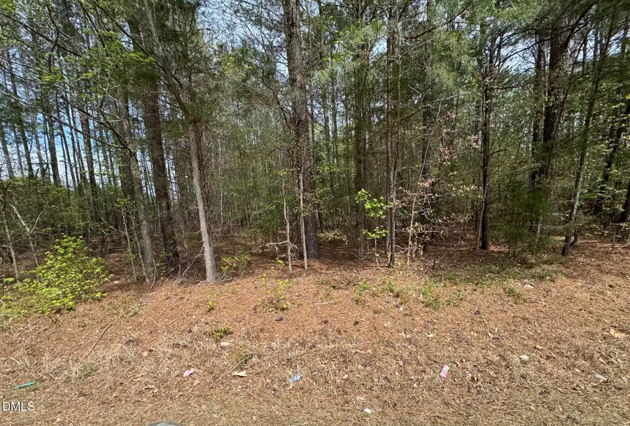 01 W Antioch Drive, Oxford, NC 27565 - #3