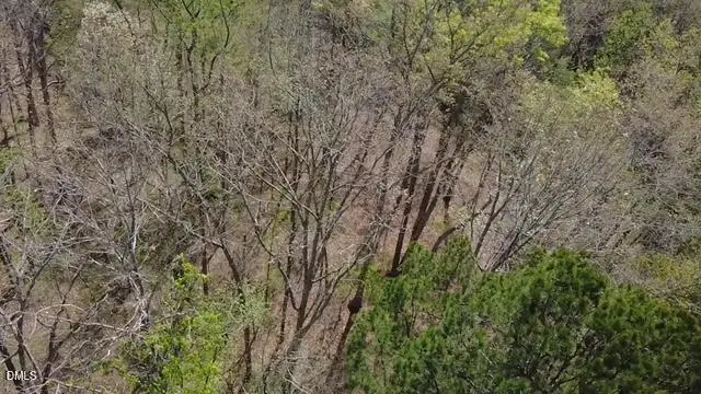 1.21 Turner Lane, Henderson, NC 27537 - #2