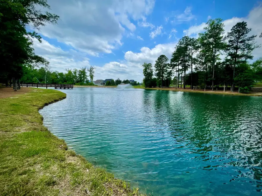 2438 Whitewing Lane, Wendell, NC 27591 - #2