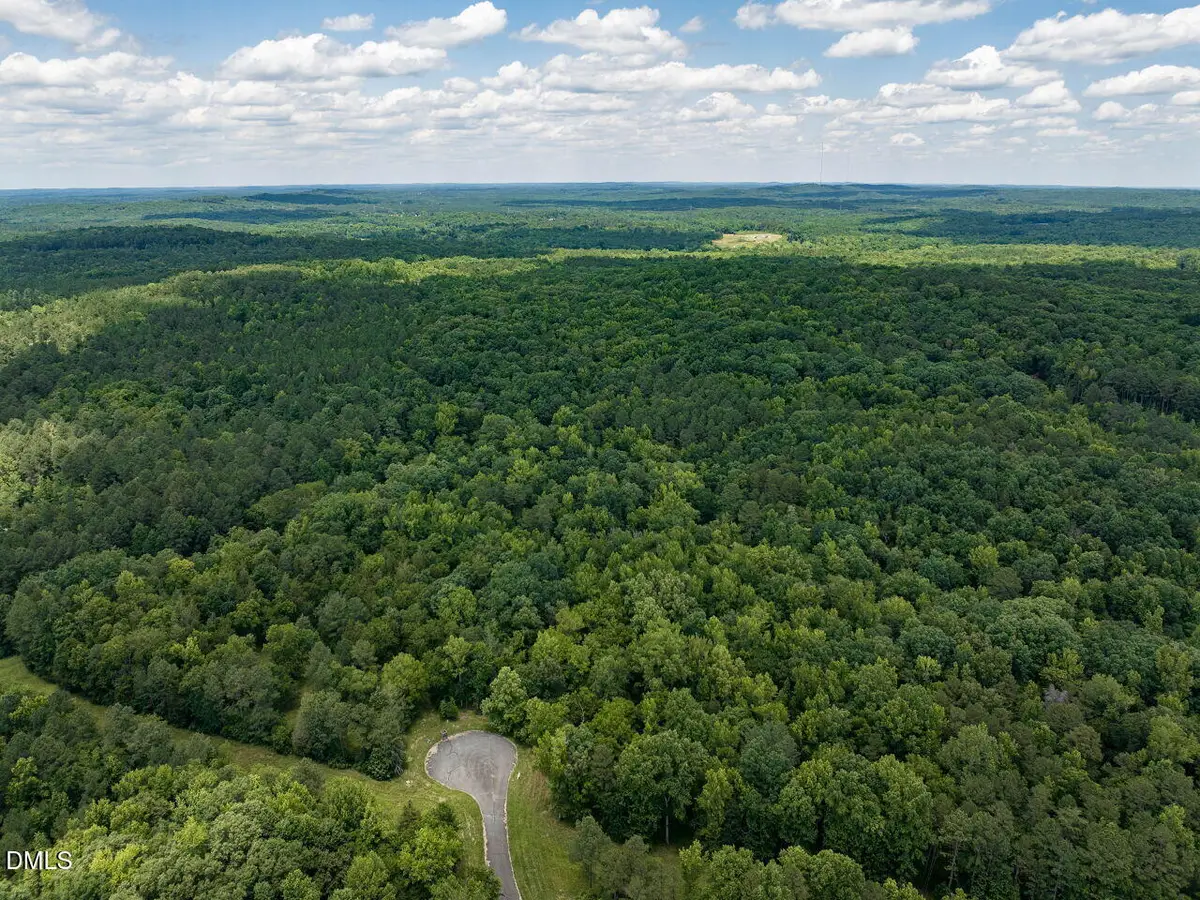 174 Clear Springs Court, Pittsboro, NC 27312 - #1