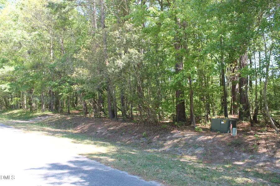375 Quail Road, Smithfield, NC 27577 - #3
