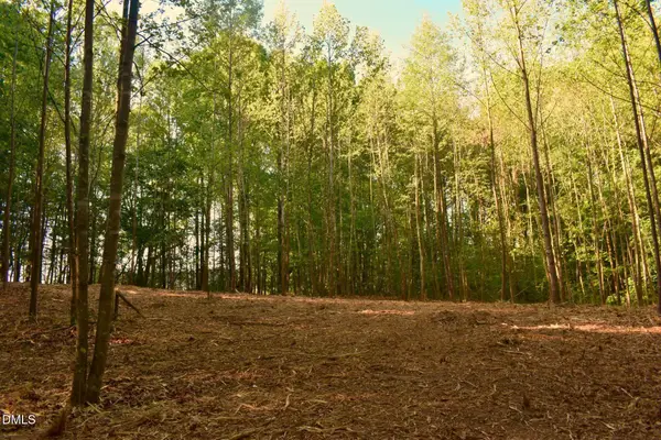 0 Hodges Dairy Road, Yanceyville, NC 27379