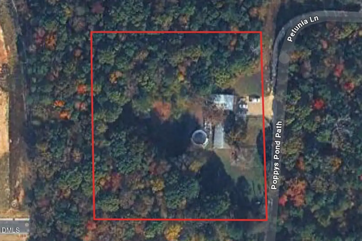 6304 Petunia Lane, Wendell, NC 27591 - #1