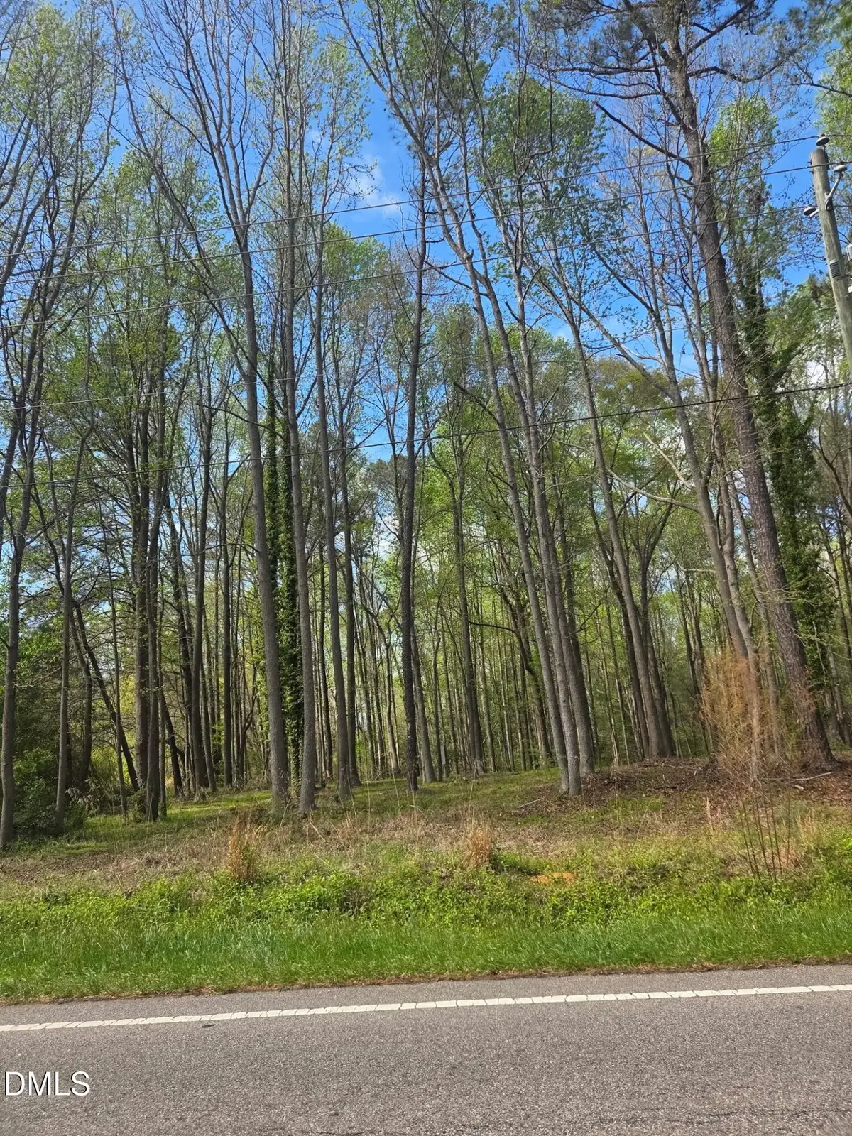5721 Us Hwy 301 N, Selma, NC 27576 - #1