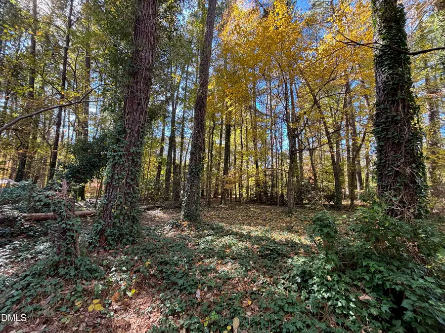 3216 Duke Homestead Road, Durham, NC 27705 - #2