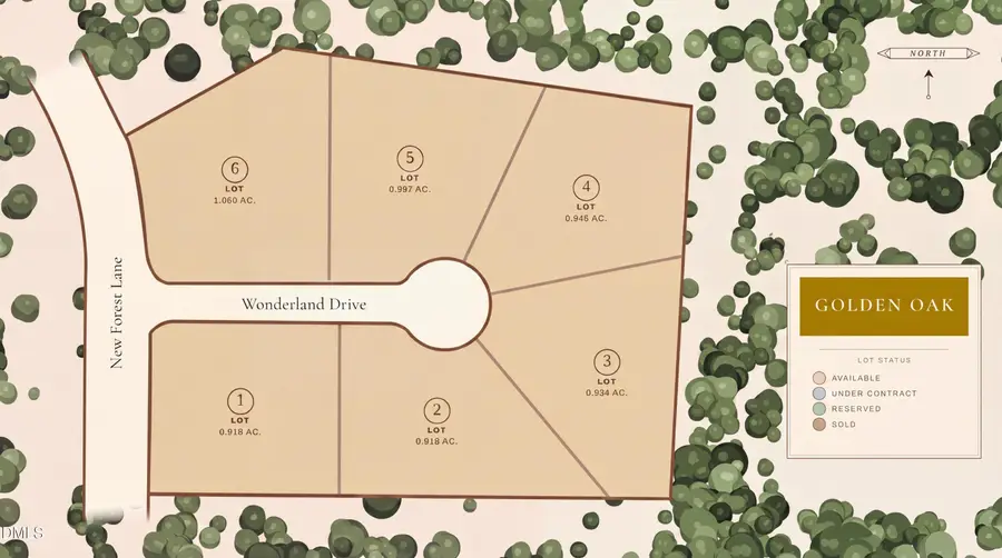 2308 Wonderland Drive, Wake Forest, NC 27587 - #2