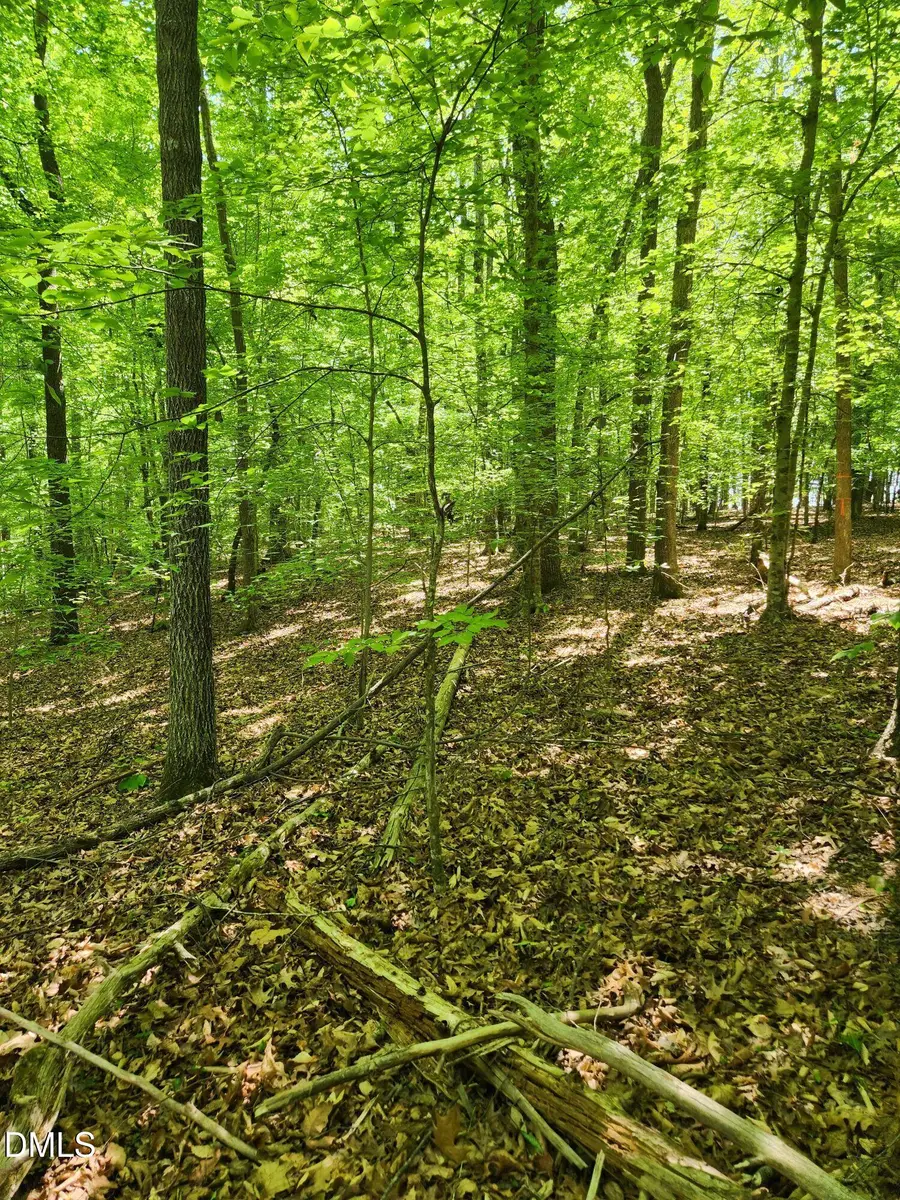 Lot 2 Lylas Lane, Efland, NC 27243 - #2