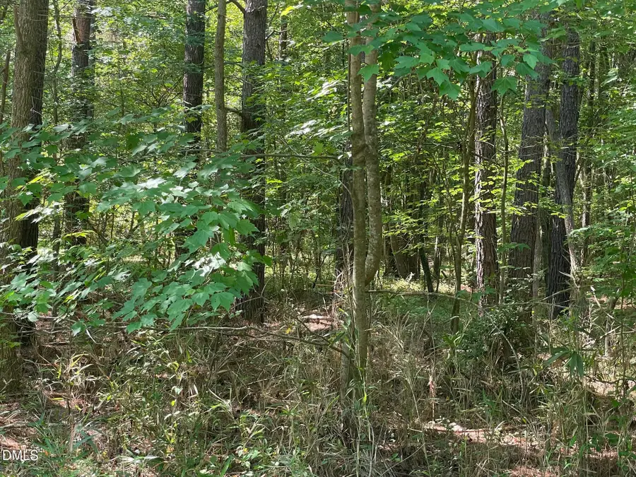 0 Landmark Road, Willow Spring, NC 27592 - #2