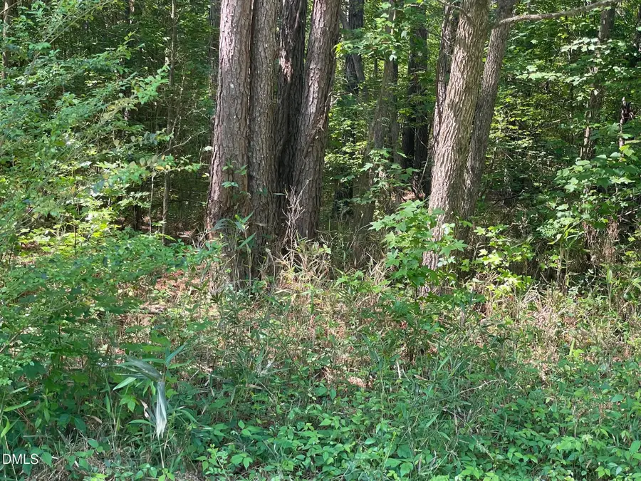 0 Landmark Road, Willow Spring, NC 27592 - #3