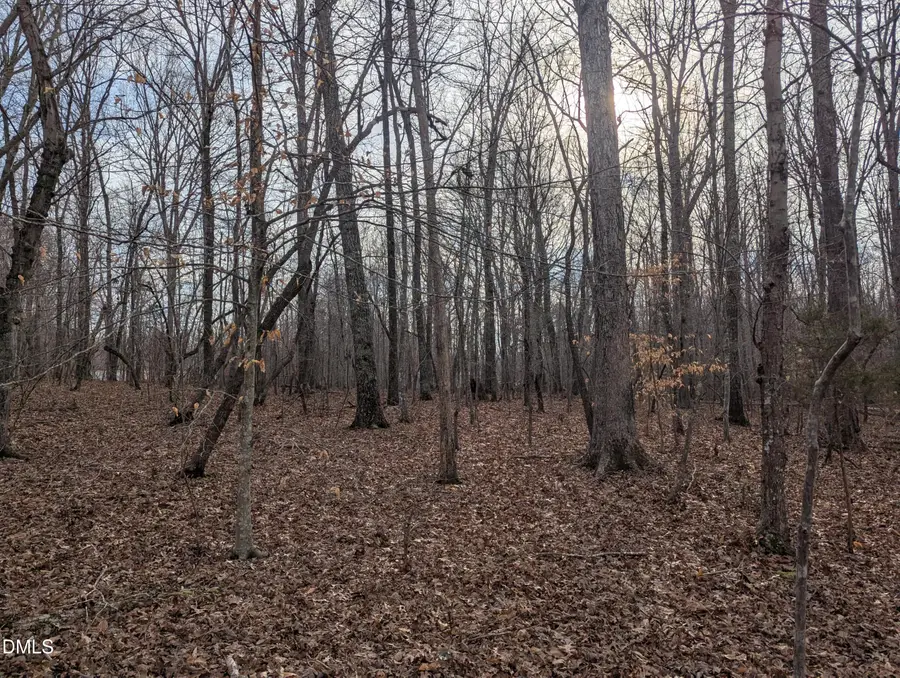 00 Dirgie Mine Road, Roxboro, NC 27574 - #2