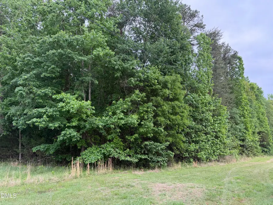 Tbd Medford Oakley Road, Rougemont, NC 27572 - #3