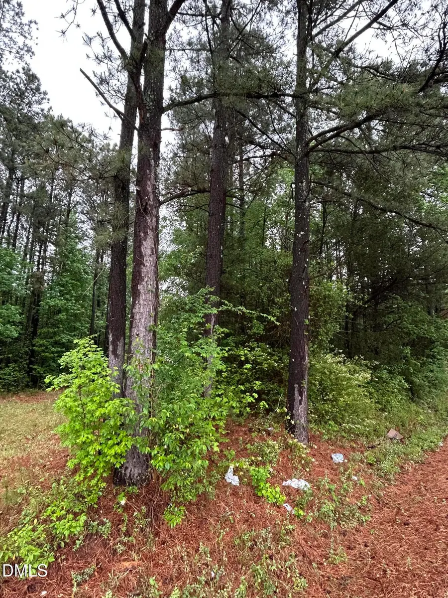 0 W River Road, Franklinton, NC 27525 - #3