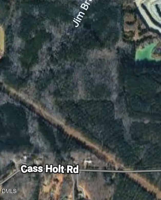 7324 Cass Holt Road, Holly Springs, NC 27540 - #2