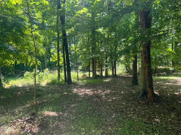 0 Jones Ferry Road, Chapel Hill, NC 27516