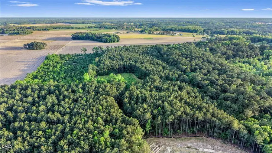 0 Pendergrass Drive, Princeton, NC 27569 - #2