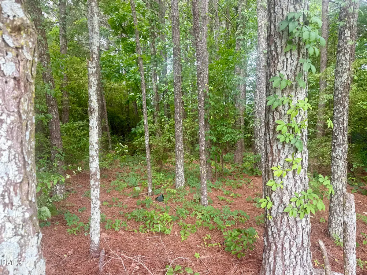 0 Happy Trails Lane, Dunn, NC 28334 - #1