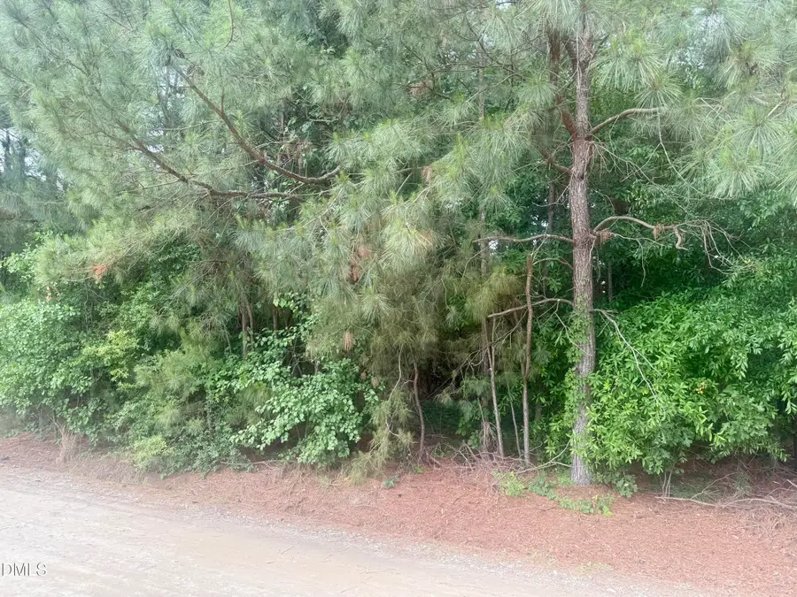 0 Happy Trails Lane, Dunn, NC 28334 - #2