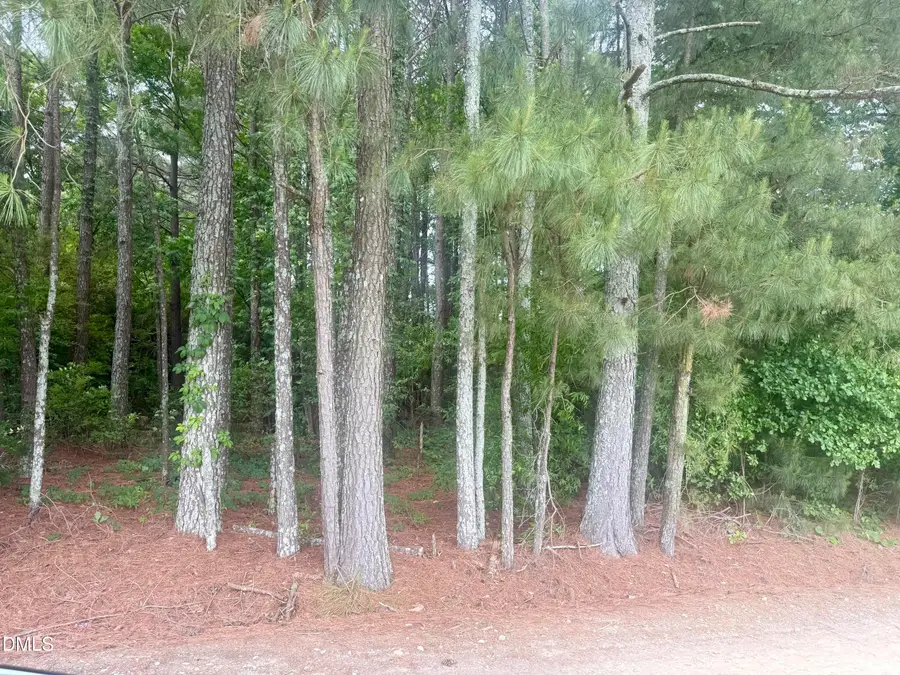 0 Happy Trails Lane, Dunn, NC 28334 - #3