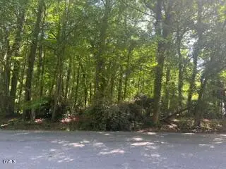 00 Chavasse Avenue, Henderson, NC 27536 - #3