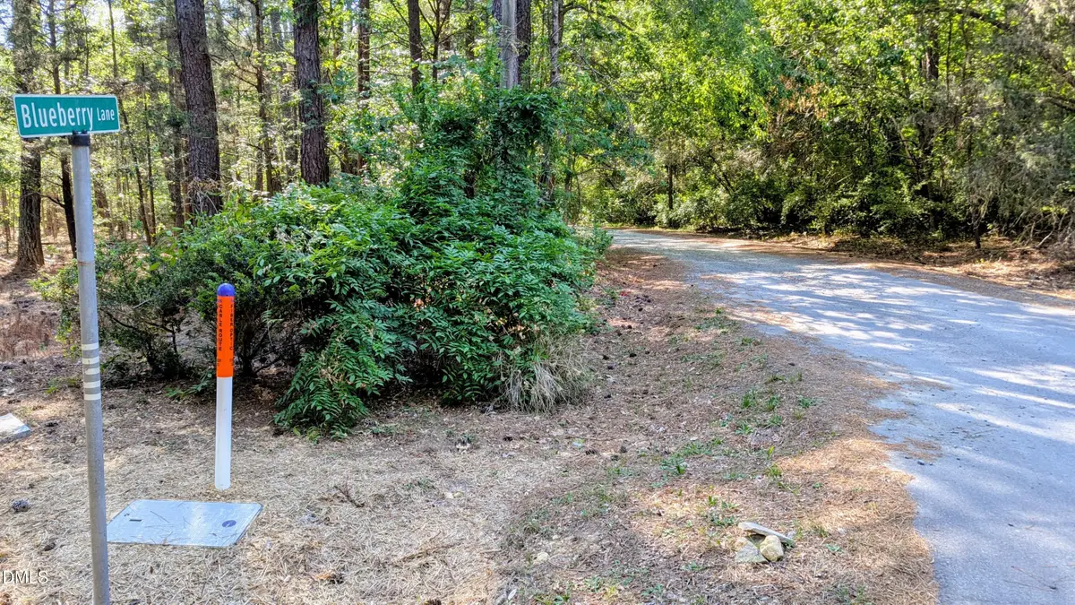 Lot 1 Blueberry Lane, Chapel Hill, NC 27516 - #1